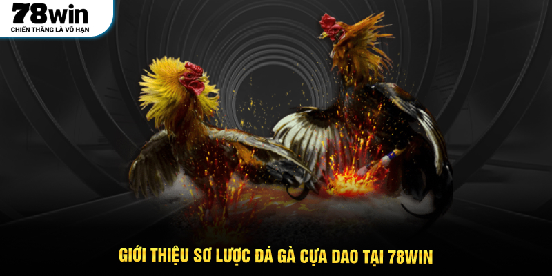 Giới thiệu sơ lược Đá gà cựa dao tại 78WIN